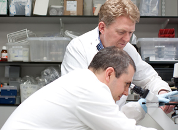 Legacymedia 3656 Research Card