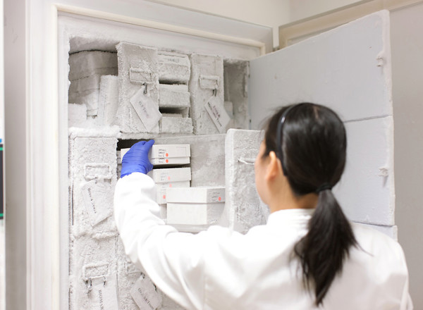 samples, clinical research, freezer