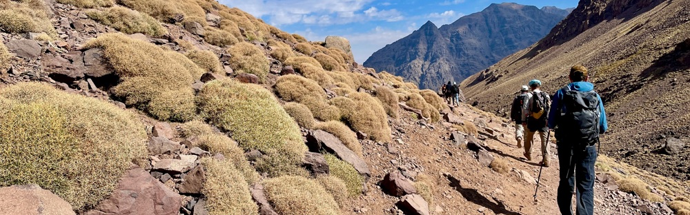 Morocco 2025 Webbanner