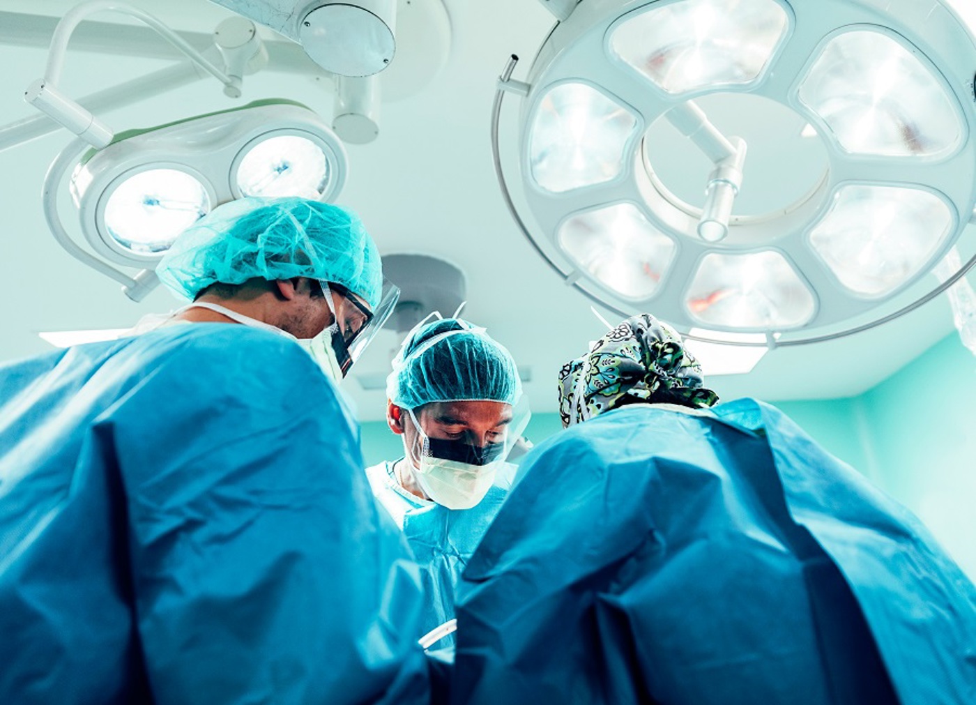 Perineal Surgery Image 1 (002) (002)