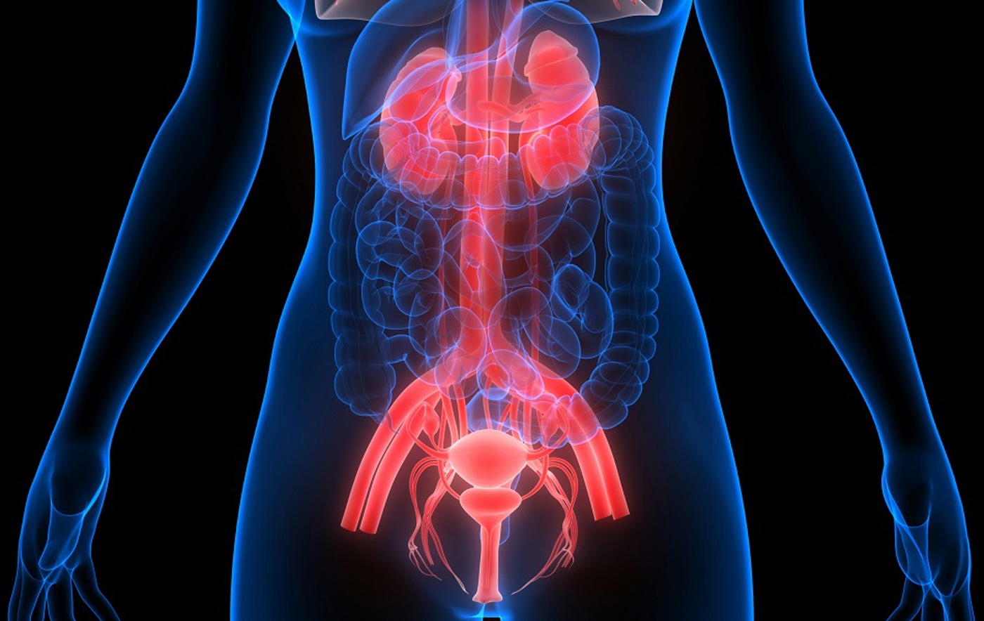 Getty Images 7B2ngnfif70 Unsplash (1)