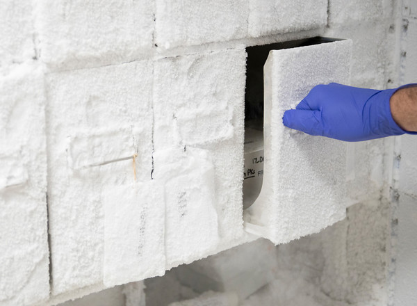 samples, clinical research, freezer