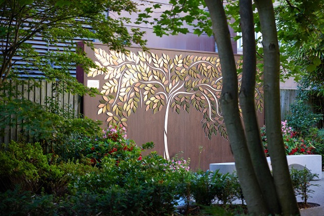 A photo of the Tree of Hope in the garden at The Christie.