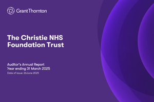 Auditor's Annual Report — 2024/25