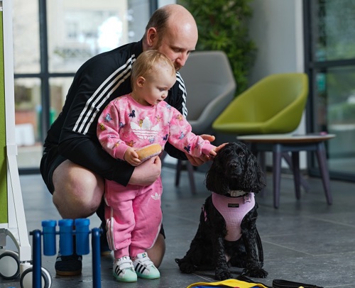 A photo of Lilo the therapy dog being petted by toddler Ellie-Mae Shirley with her dad Adam.