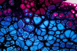 Proton Centre/Service Development Programme