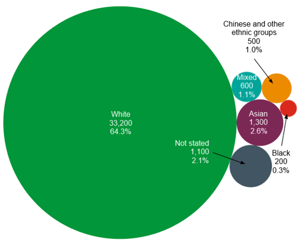 A graph showing that among The Christie patient population, 64.3% of patients classify themselves as white, 2.6% of patients classify themselves as Asian, 1.1% of patients classify themselves as mixed ethnicity, 0.3% of patients classify themselves as Black, 1.0% of patients classify themselves as Chinese or another ethnic group and 2.1% of patients decline to provide an ethnicity status.