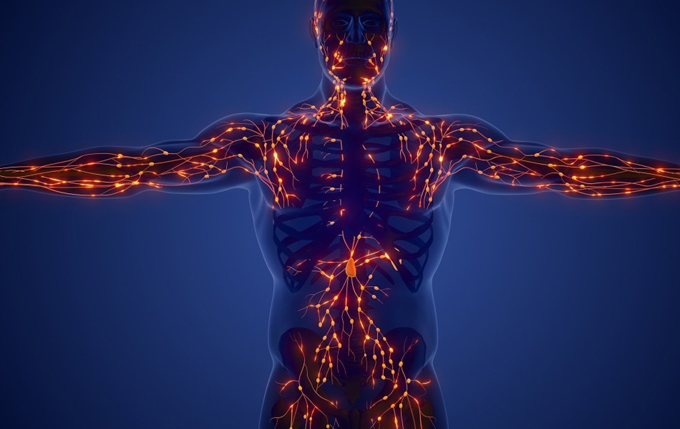 Lymphoma Nurses Study Day Carousel