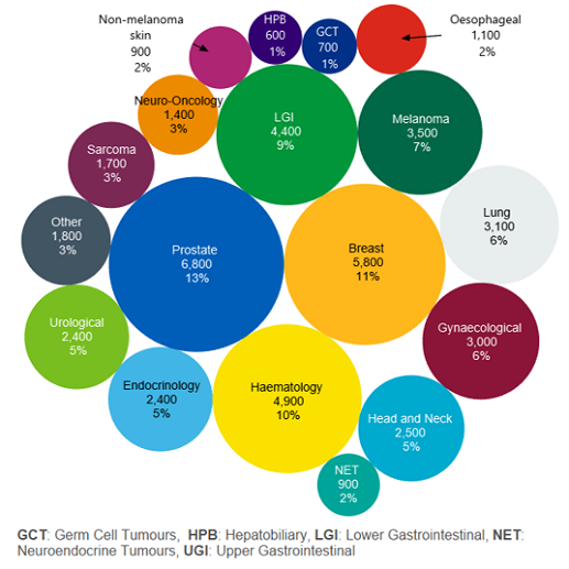 A graph showing a breakdown of Christie patients by disease group. The most common cancer types are prostate cancers seen in 13% of our patients and breast cancers seen in 11% of patients. Haematological cancers are seen in 10% of patients, lower gastric intestinal cancers are seen in 9% of patients, melanoma is seen in 7% of patients, gynaecological cancers are seen in 6% of patients, lung cancers are seen in 6% of patients, endocrinology cancers and other endocrinology related issues are seen in 7% of patients, head and neck cancers are seen in 5% of patients, non-prostate urological cancers are seen in 5% of patients, neuro-oncology cancers are seen in 3% of patients, sarcomas are seen in 3% of patients, non-melanoma skin cancers are seen in 2% of patients, other very rare cancers and benign tumours are seen in 3% of patients, oesophageal cancers are seen in 2% of patients, hepatobiliary tract cancers are seen in 1% of patients, and germ cell tumours are seen in 1% of patients.